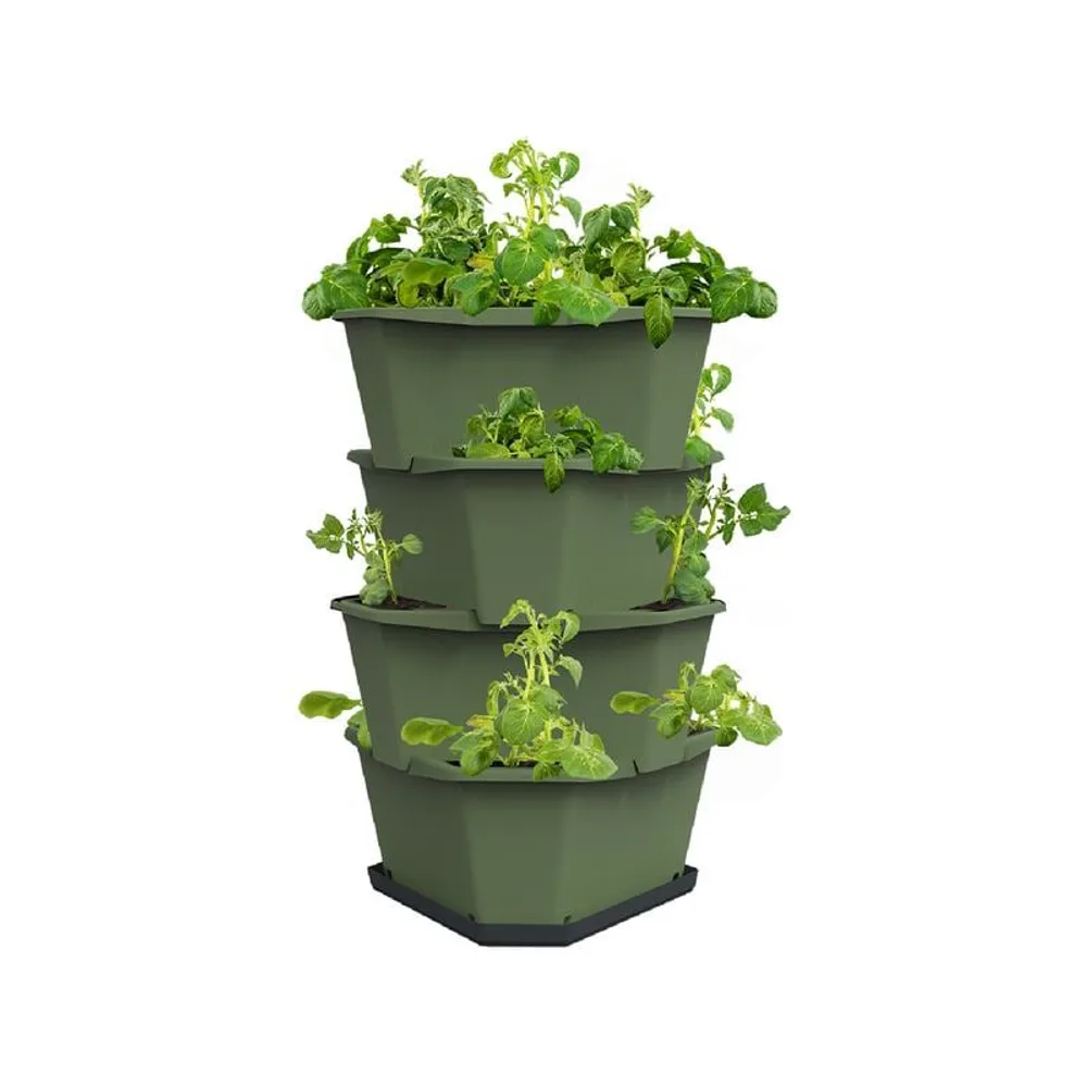 Gusta Garden Aufzuchttöpfe PAUL POTATO Starter, 4 Etagen