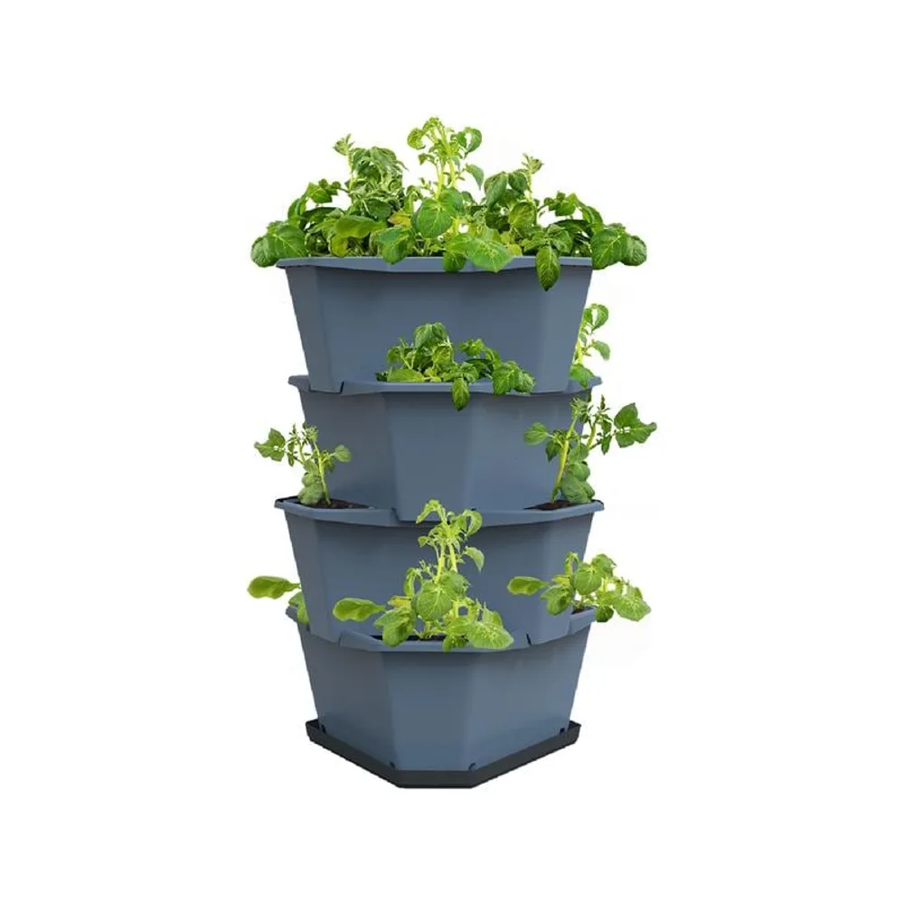 Gusta Garden Aufzuchttöpfe PAUL POTATO Starter, 4 Etagen
