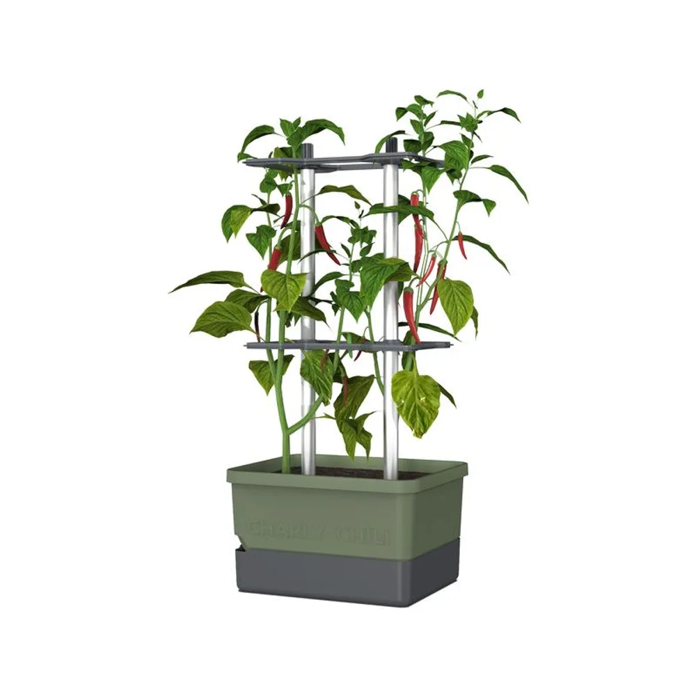 Gusta Garden Pflanzentopf CHARLY CHILI Starterset