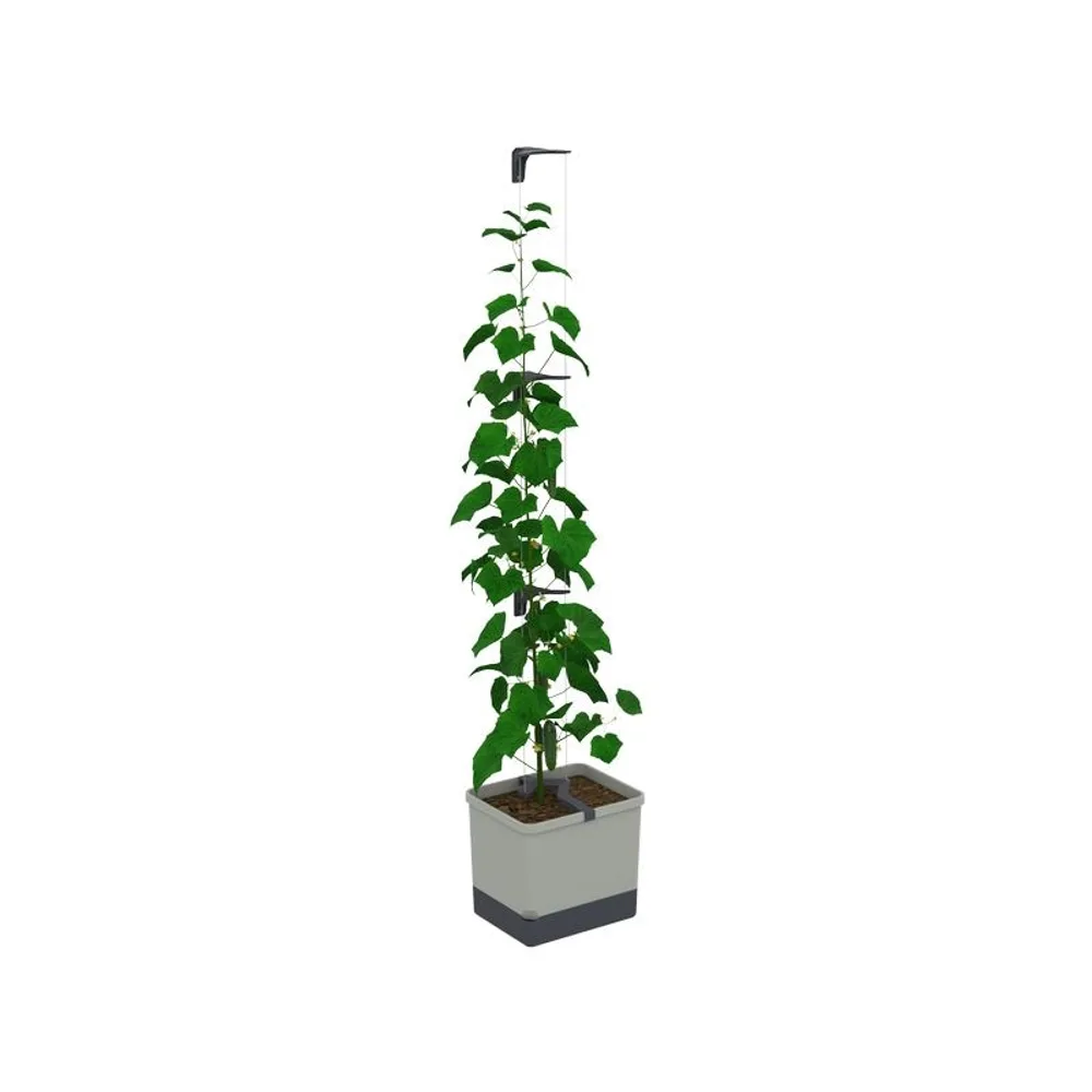Gusta Garden CURT CUCUMBER Gurkentopf